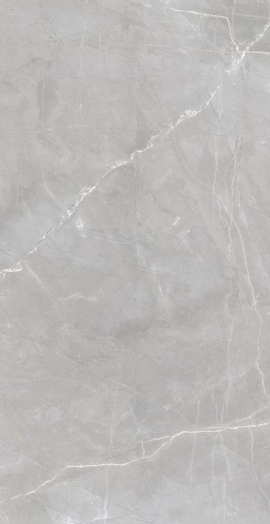 Luxury Amani Grey Matte 24 x 48
